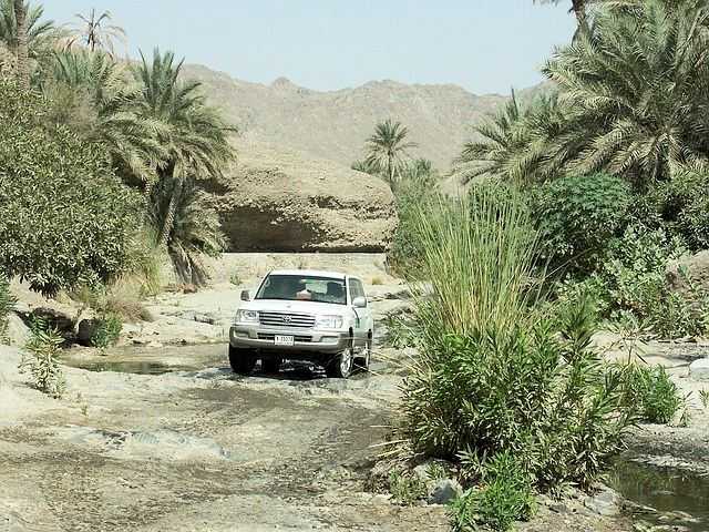Wadi Adventure Abu Dhabi